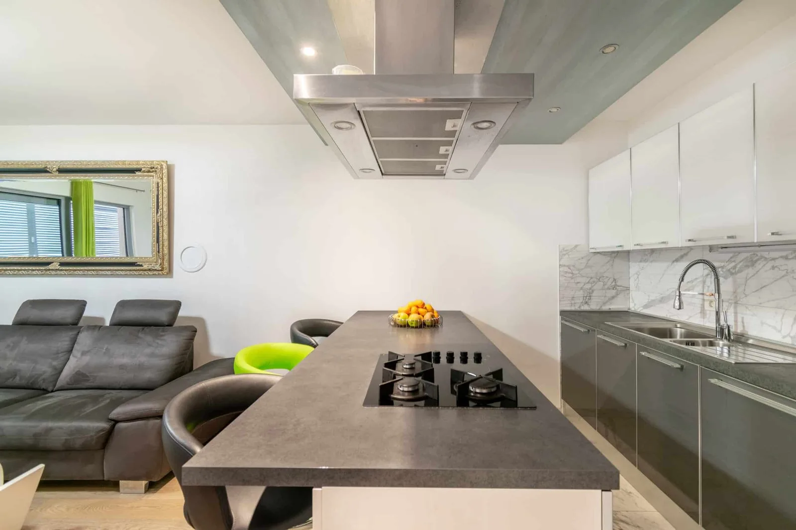 Apartment Simic