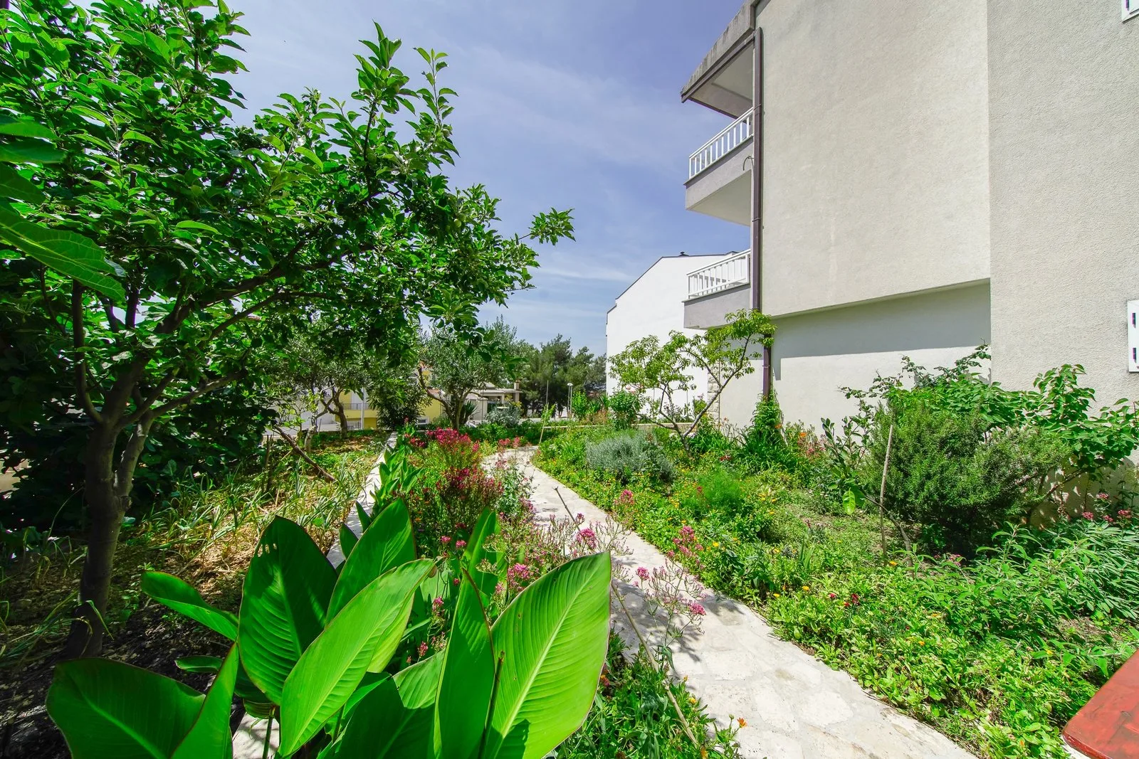 Apartments Snjezana