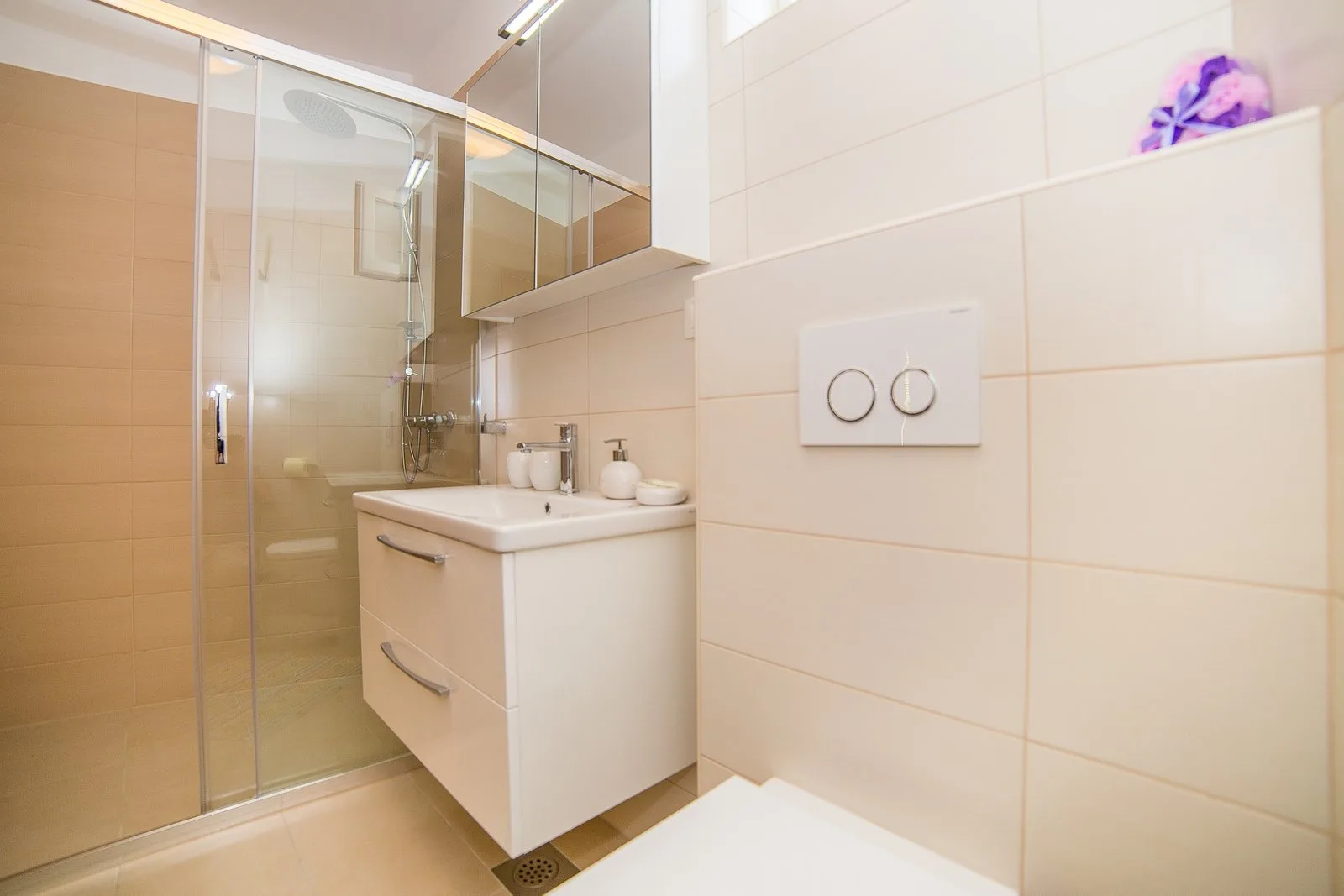 Apartments Emil
