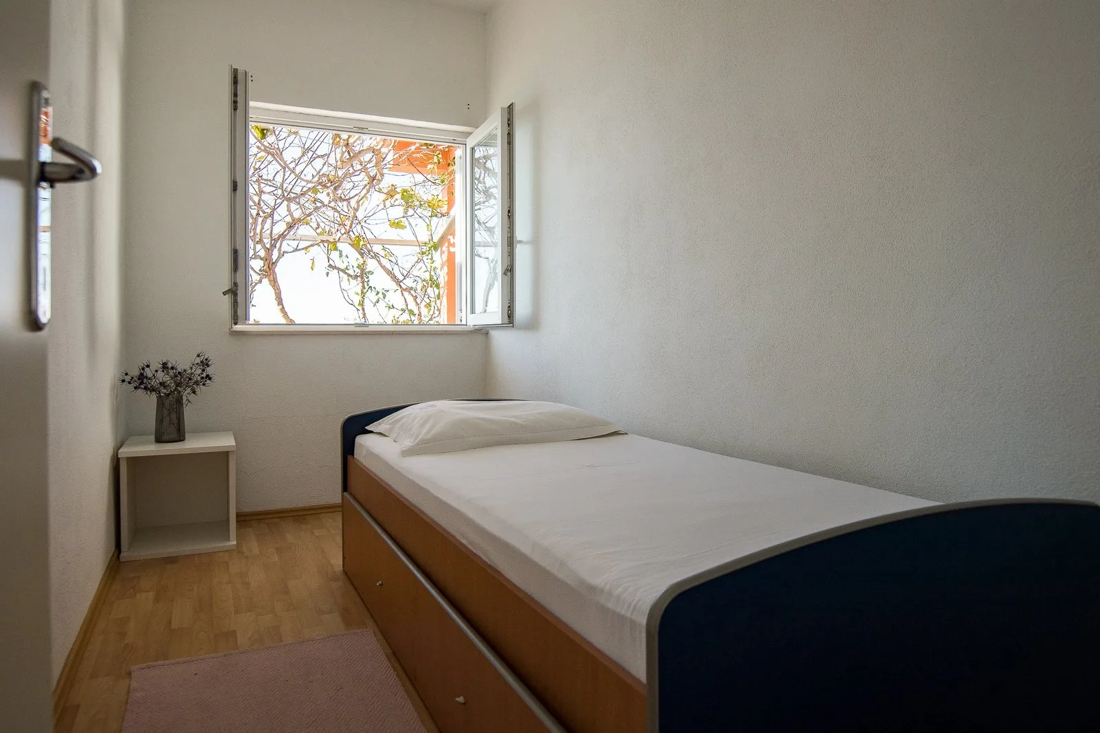Apartmani Stablo limuna